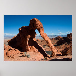 Póster Roca del elefante