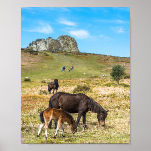 Póster Roca Pony Haytor en el parque nacional Devon