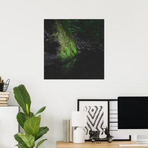 Póster Roca verde musgosa con reflejo en el agua