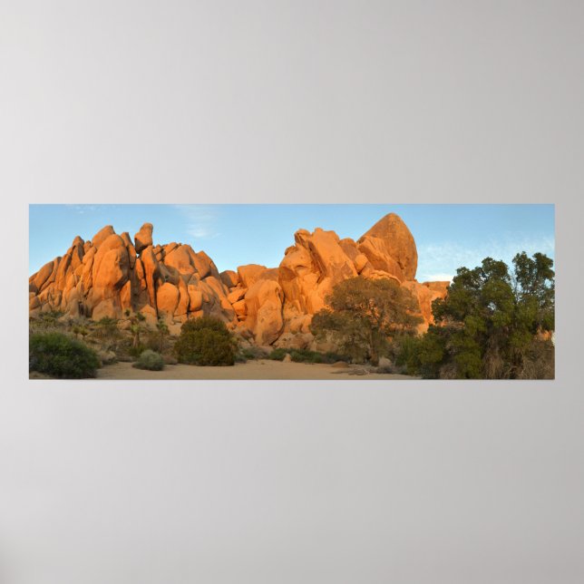 Póster Rocas al atardecer en el árbol de Joshua (Frente)