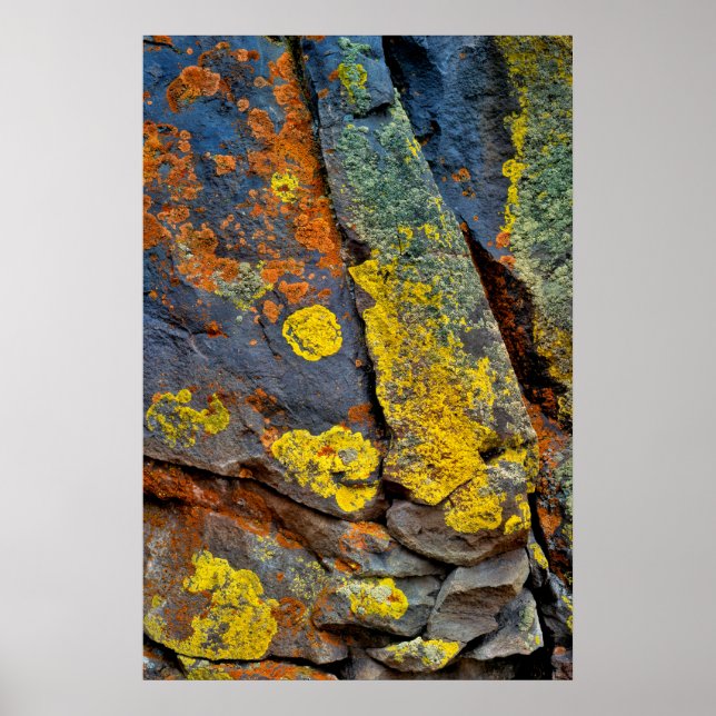 Póster Rocas cubiertas de Lichen (Frente)