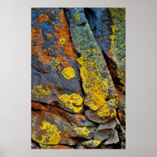 Póster Rocas Cubiertas de Liquen