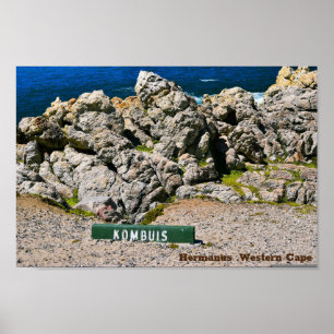 Póster Rocas Hemanus, Cabo Occidental