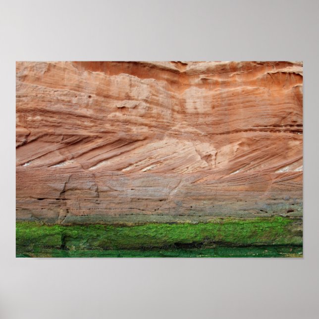 Póster Rocas rojas de la costa jurásica, Devon, Inglaterr (Frente)