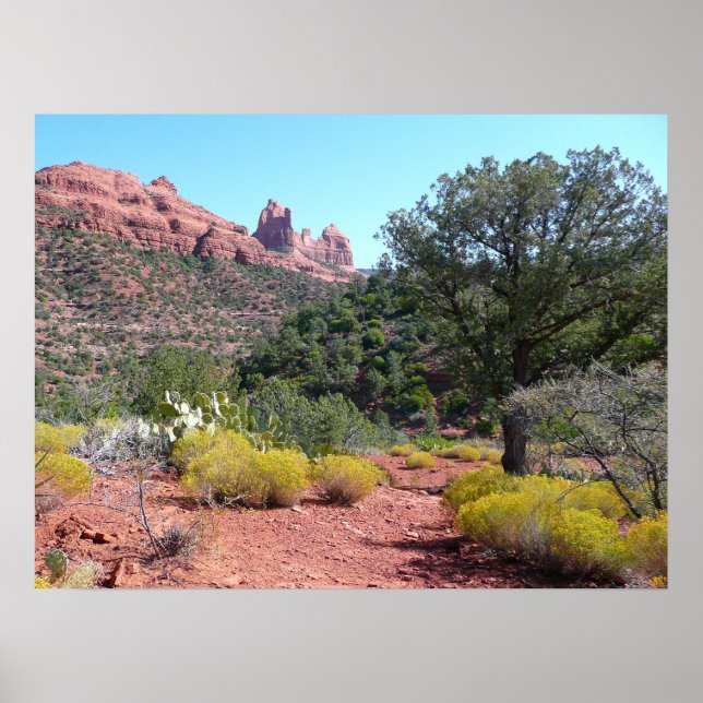 Póster Rocas rojas y Cacti II en Sedona Arizona (Frente)
