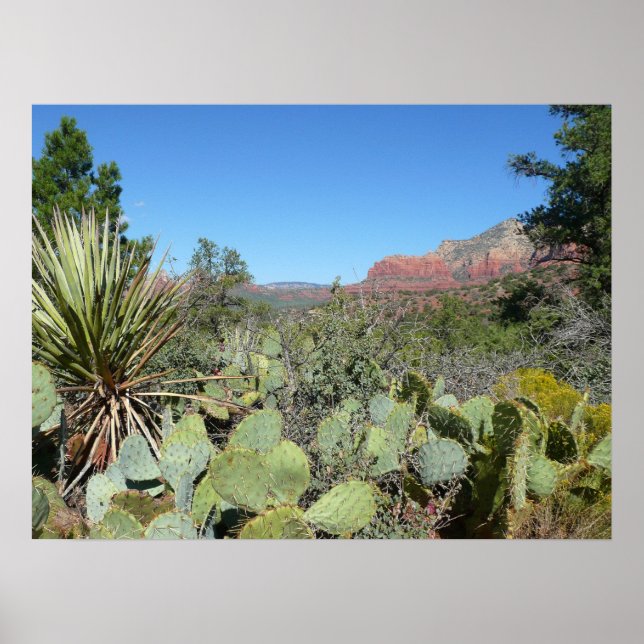 Póster Rocas rojas y cactus I (Frente)