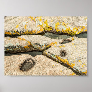 Póster Rocas y piscinas de marea en el archivo natural de