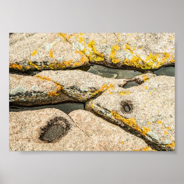 Póster Rocas y piscinas de marea en el archivo natural de (Frente)