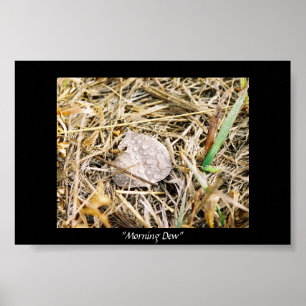 Póster Rocío de la mañana