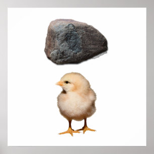 Póster Rock + Chick