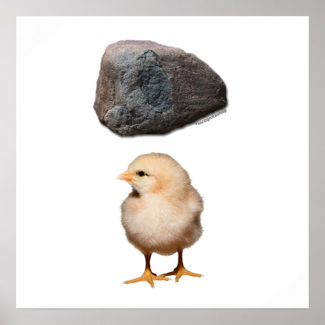 Póster Rock + Chick (Frente)