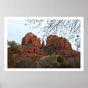 Póster Rock de Catedral