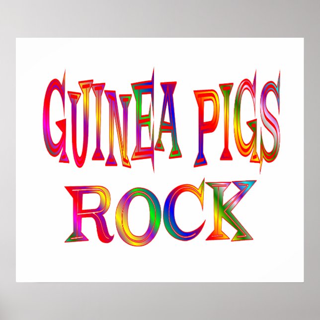Póster Rock de los Cerdos de Guinea (Frente)