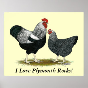 Póster Rock de Plymouth: Par con láminas plateadas