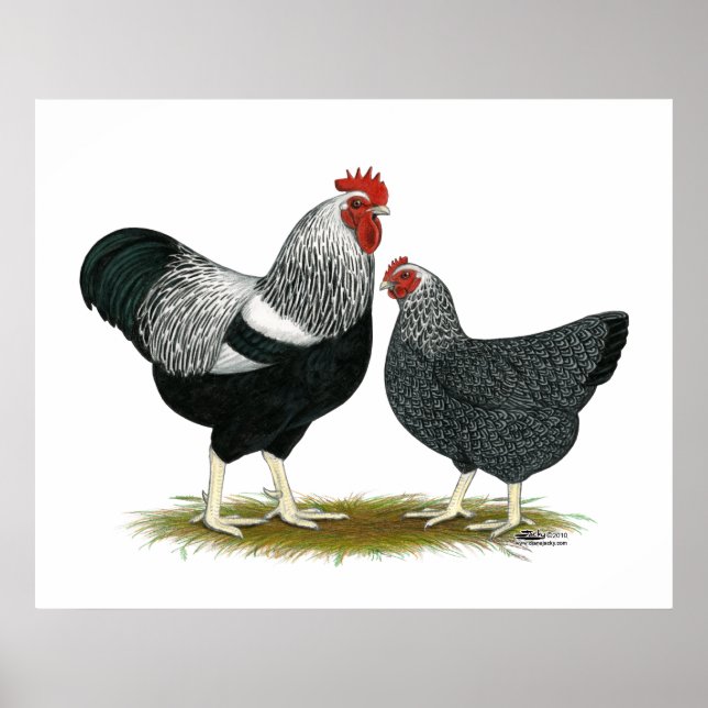 Póster Rock de Plymouth: Par con láminas plateadas (Frente)