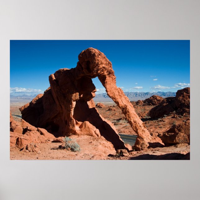 Póster Rock elefante (Frente)