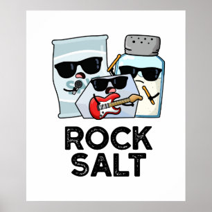 Póster Rock Salt Funny Condiny Music Pun