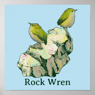 Póster Rock Wren birds Nueva Zelanda