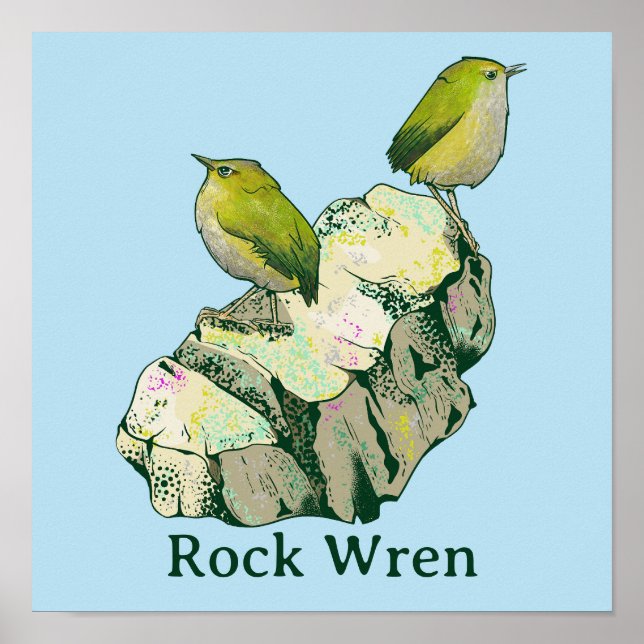 Póster Rock Wren birds Nueva Zelanda (Frente)