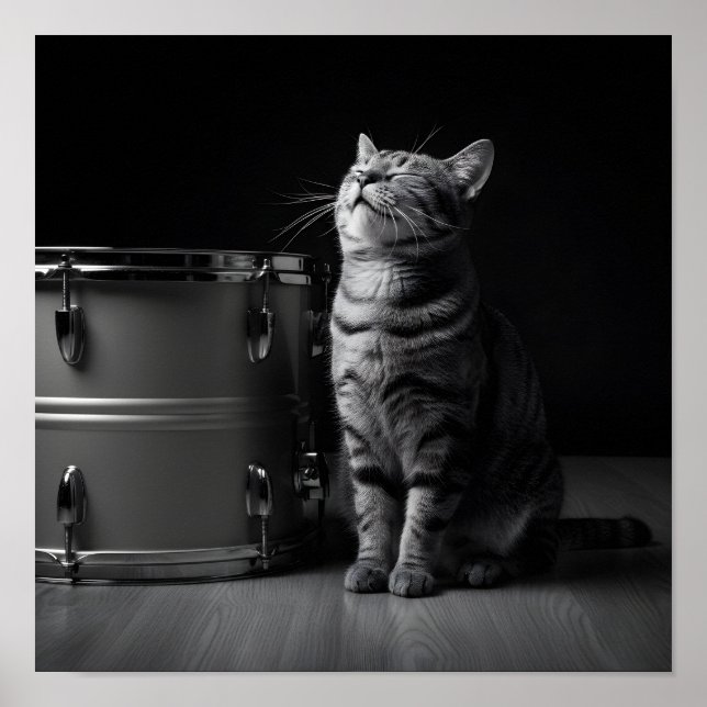 Póster Rocking cat Poster _Cool black cat Rock Music (Frente)