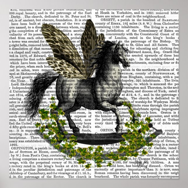 Póster Rocking Horse Fly (Frente)