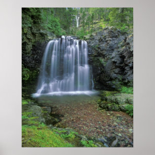 Póster Rockwell cae en el valle de dos medicinas de