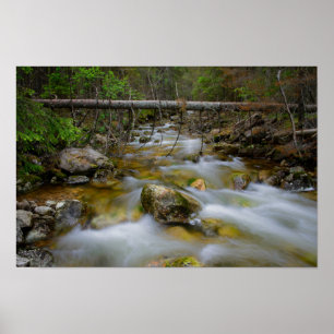 Póster Rocky forest creek poster