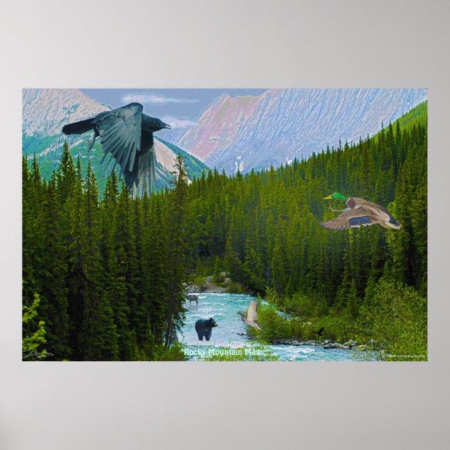Póster Rocky Mountain Magic Wilderness & Wildlife Art (Frente)