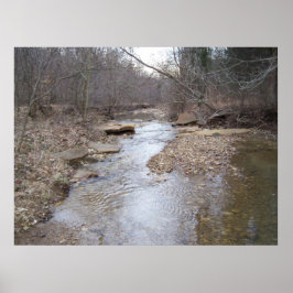 Póster Rocky Stream