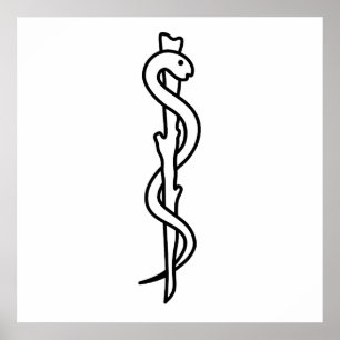 Póster Rod de Asclepius