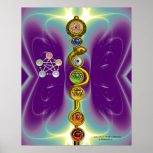 PÓSTER ROD DE ASCLEPIUS 7 CHAKRAS,YOGA ,ENERGÍA ESPIRITUA