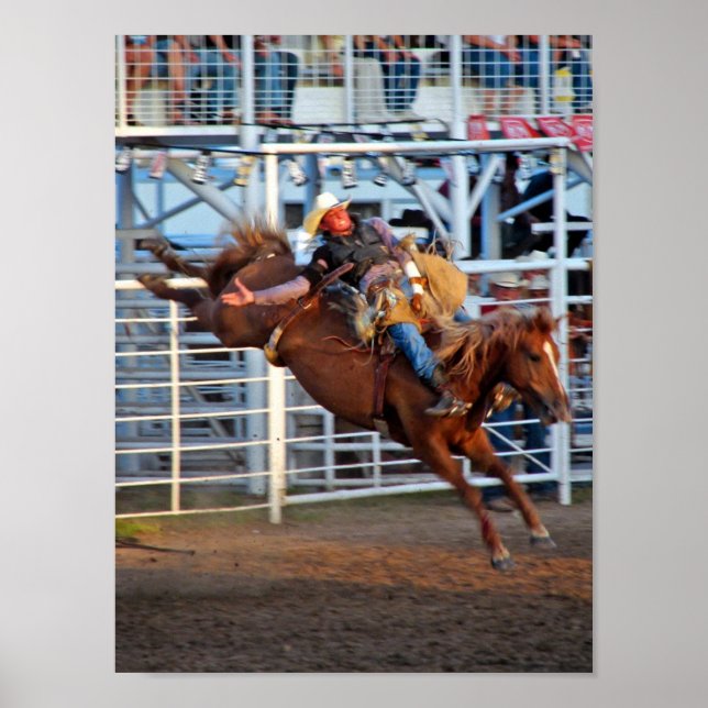 Póster Rodeo Bucking (Frente)