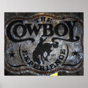 Póster rodeo del vaquero del caballo de la precipitación