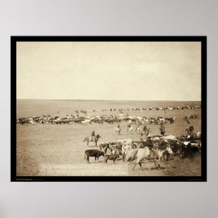 Póster Rodeo del vaquero en la belleza Fouche SD 1887
