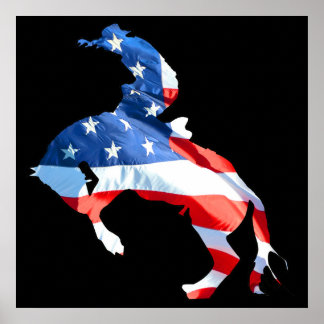 Póster Rodeo es Estados Unidos - Bronco Riding