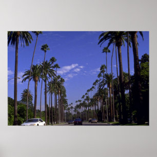 Póster Rodeo Residencial, Beverly Hills, California