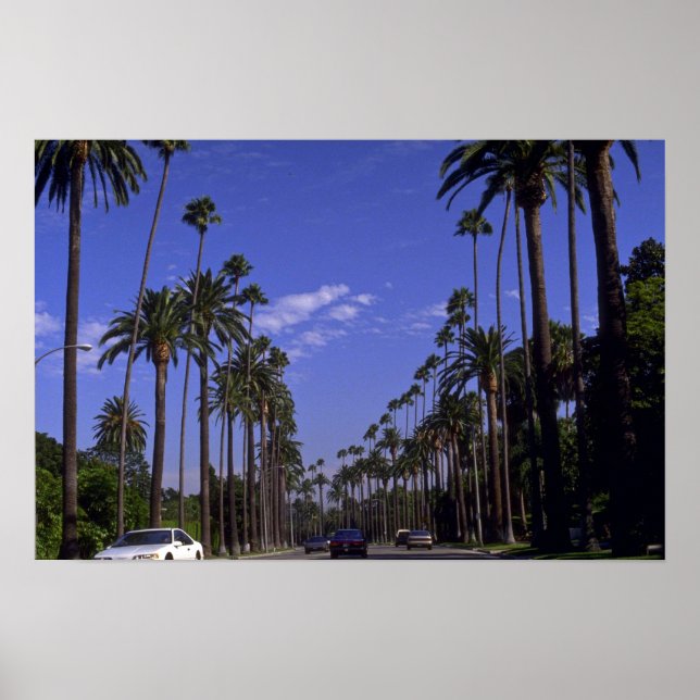 Póster Rodeo Residencial, Beverly Hills, California (Frente)
