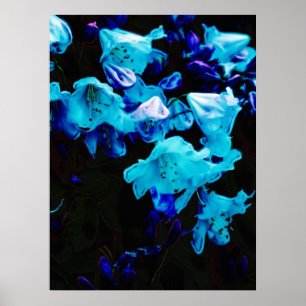 Póster Rododendros en flores azules, florales y azules