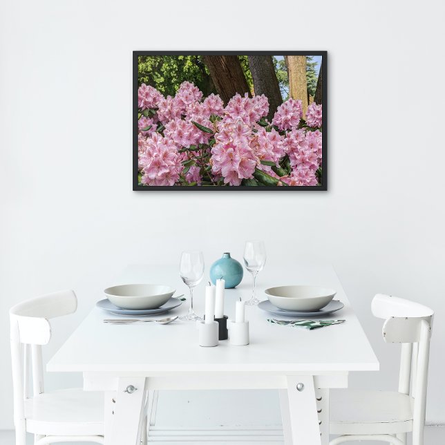 Póster Rododendros rosados encantadores florecen (In Situ)