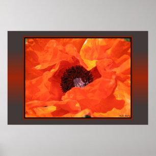Póster Rojo
