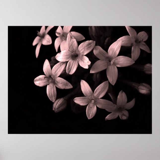 Póster rojo (Frente)