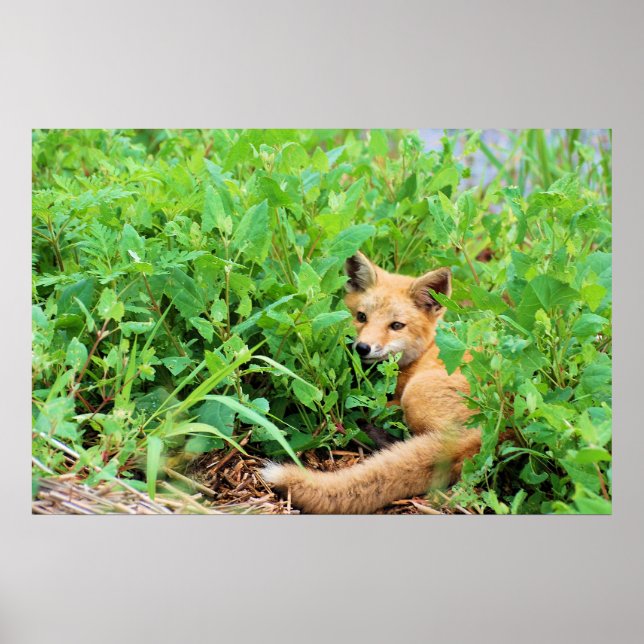 Póster Rojo (Frente)