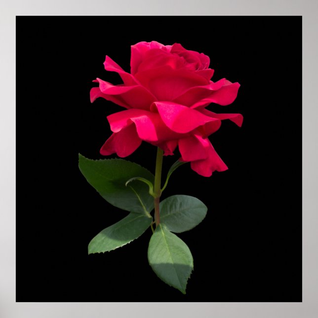 Póster Rojo (Frente)