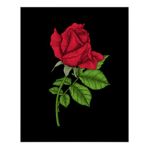 Póster Rojo