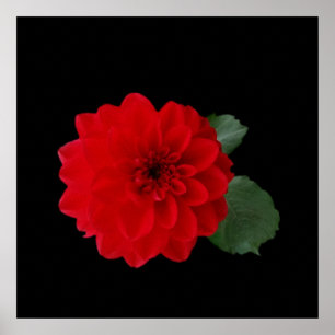 Póster rojo brillante