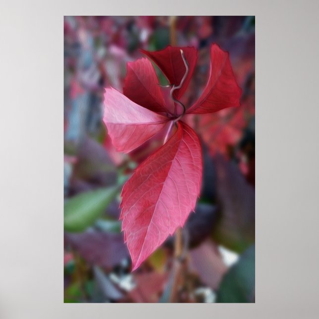 Póster Rojo de otoño (Frente)