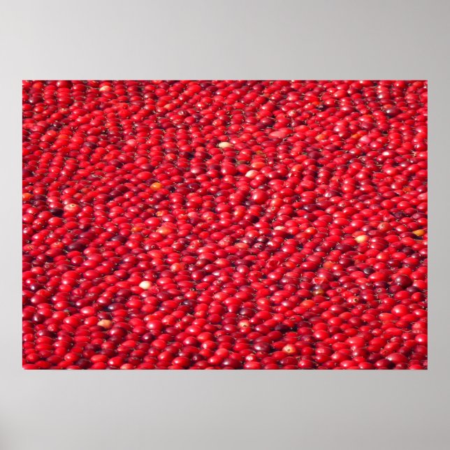 Póster Rojo festivo de Cranberries (Frente)