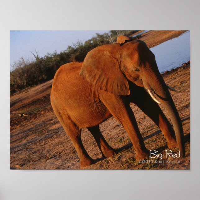 Póster Rojo grande (Frente)