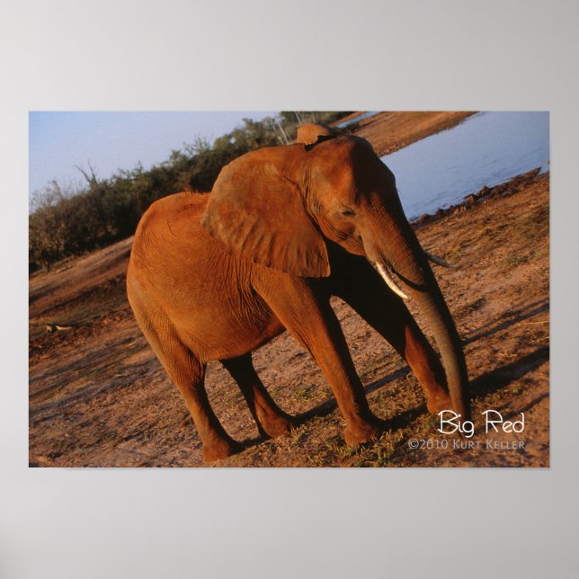 Póster Rojo grande (Frente)