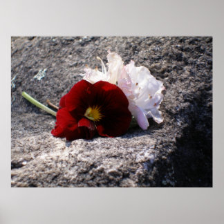 Póster Rojo-n-blanco